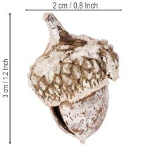 Artículo Bellotas, producto natural para decoración, blanqueadas, 1-3 cm, 300 g
