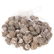 Artículo Bellotas, producto natural para decoración, blanqueadas, 1-3 cm, 300 g