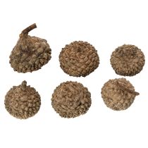 Artículo Cáscaras de bellota naturales, cuencos decorativos para otoño y Adviento, 2 cm, 300 g