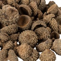 Artículo Cáscaras de bellota naturales, cuencos decorativos para otoño y Adviento, 2 cm, 300 g