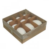 Artículo Mezcla de huevos de cisne y huevos de gallina, huevos soplados blancos 5,5/8 cm 9 piezas