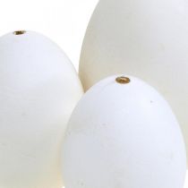 Artículo Mezcla de huevos de cisne y huevos de gallina, huevos soplados blancos 5,5/8 cm 9 piezas