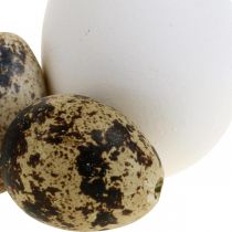 Mezcla de huevos de decoración huevos de codorniz y huevos de gallina Huevos de Pascua soplados