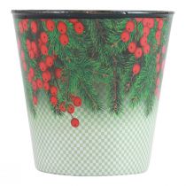 Macetero cubo macetero navideño Ilex Ø15,5cm H13cm
