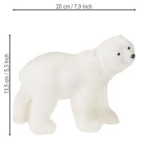 Artículo Figuras decorativas oso polar de pie y sentado blanco 16/20cm 3uds