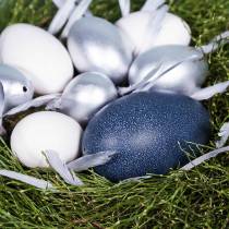 Artículo Emu huevo natural 12cm - 14cm 1p