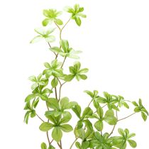 Artículo Rama de Schefflera artificial, elegante decoración vegetal para espacios habitables, 95 cm