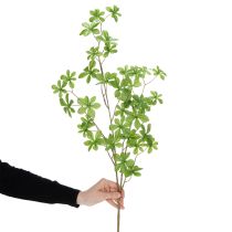 Artículo Rama de Schefflera artificial, elegante decoración vegetal para espacios habitables, 95 cm