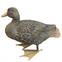 Pato figura de jardín figura decorativa Pato figura de pie H18cm