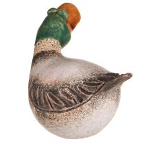 Artículo Patos decorativos de cerámica primavera drake marrón verde L15cm 2 piezas