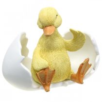 Pollito recién nacido, figura de pato, patito en huevo AL10cm AN12,5cm