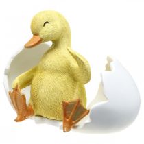 Artículo Pollito recién nacido, figura de pato, patito en huevo AL10cm AN12,5cm