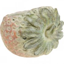 Artículo Fresa decorativa, macetero, decoración de hormigón para plantar L17cm