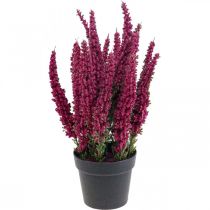Erika púrpura brezo escoba planta artificial brezo H26cm