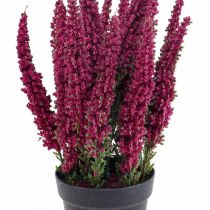 Erika púrpura brezo escoba planta artificial brezo H26cm