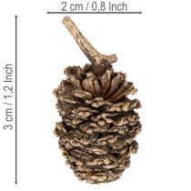 Artículo Piñas de aliso, producto natural para decoración y manualidades, color dorado, 3 cm, 300 g