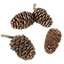 Artículo Piñas de aliso, producto natural para decoración y manualidades, color dorado, 3 cm, 300 g