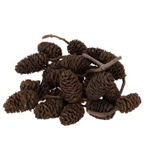 Artículo Piñas de aliso naturales, sueltas, para decoración, 3 cm, 300 g, color marrón natural.
