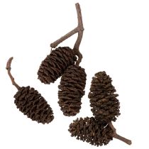 Artículo Piñas de aliso naturales, sueltas, para decoración, 3 cm, 300 g, color marrón natural.