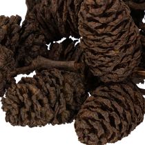 Artículo Piñas de aliso naturales, sueltas, para decoración, 3 cm, 300 g, color marrón natural.