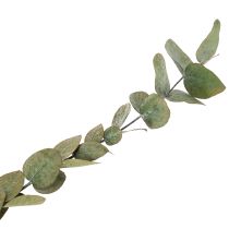 Artículo Ramas y hojas decorativas de eucalipto preservadas, redondas, secas, verdes, 150 g