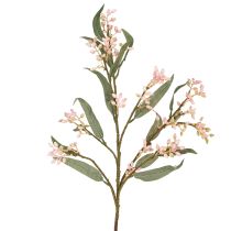 Artículo Ramas artificiales de eucalipto con hojas y brotes, 75 cm, 2 unidades