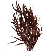 Artículo Eucalipto Ramas de Eucalipto Preservadas Rojo, Marrón 56cm 135g
