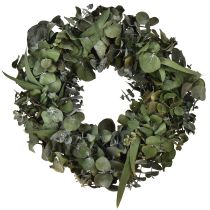 Artículo Corona de eucalipto corona natural eucalipto preservado Ø35cm