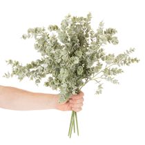Artículo Rama de eucalipto artificial, rama decorativa para jarrones y ramos, 49 cm, 4 unidades.