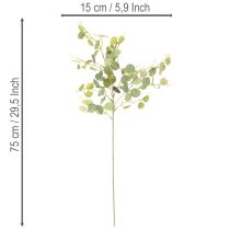Artículo Rama artificial de eucalipto con hojas redondas, 75 cm, 4 piezas