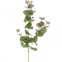 Rama de eucalipto artificial deco verde planta verde, rosa 75cm