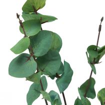 Artículo Rama de eucalipto eucalipto artificial verde 64cm