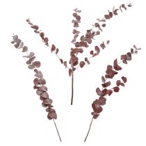 Artículo Ramas de eucalipto, eucalipto preservado, flores secas, rojo, 75 cm, 150 g
