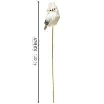 Artículo Búho en la caña blanco 9cm L48cm