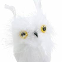 Decoración del ramo Owl White 10cm 2 piezas