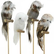 Tapón de flores buho decorativo con plumas blanco, marrón H15cm 4pcs