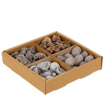 Artículo Decoración de mesa con popurrí y frutos secos para crear un ambiente veraniego natural.
