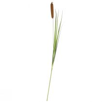 Artículo Plantas artificiales, espadaña artificial, decoración de caña 92cm