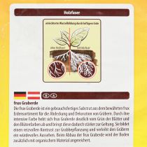 Artículo Tierra para tumbas FRUX (10 litros)