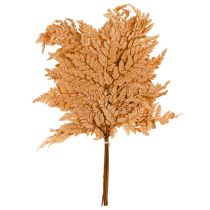 Artículo Helecho naranja preservado decorativo de 45 cm, 10 piezas, decoración del hogar DIY