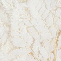 Artículo Decoración de helechos Hojas de helecho reales blancas preservadas 45 cm 10 piezas