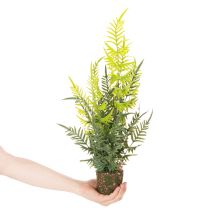 Artículo Helecho artificial con cepellón para decoración del hogar y la oficina, 57 cm.