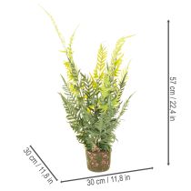 Artículo Helecho artificial con cepellón para decoración del hogar y la oficina, 57 cm.