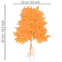 Artículo Frondas de helecho secas y preservadas para floristería y decoración otoñal, 42 cm, 10 unidades.