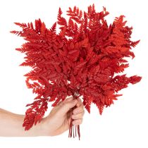 Artículo Frondas de helecho preservadas y teñidas, helecho auténtico para arreglos otoñales, 42 cm, 10 unidades