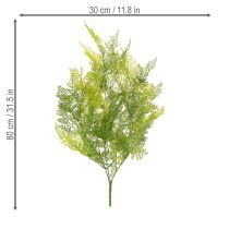 Artículo Helecho artificial colgante, un elemento decorativo llamativo para interiores, con acentos modernos, 80 cm.