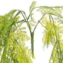 Artículo Helecho artificial colgante, un elemento decorativo llamativo para interiores, con acentos modernos, 80 cm.