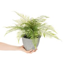 Artículo Helecho artificial en maceta para salón y oficina, 35 cm.