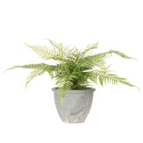 Artículo Helecho artificial en maceta para salón y oficina, 35 cm.