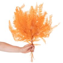 Artículo Rama de helecho, helecho preservado, decoración seca para arreglos florales, 60 cm, 10 unidades